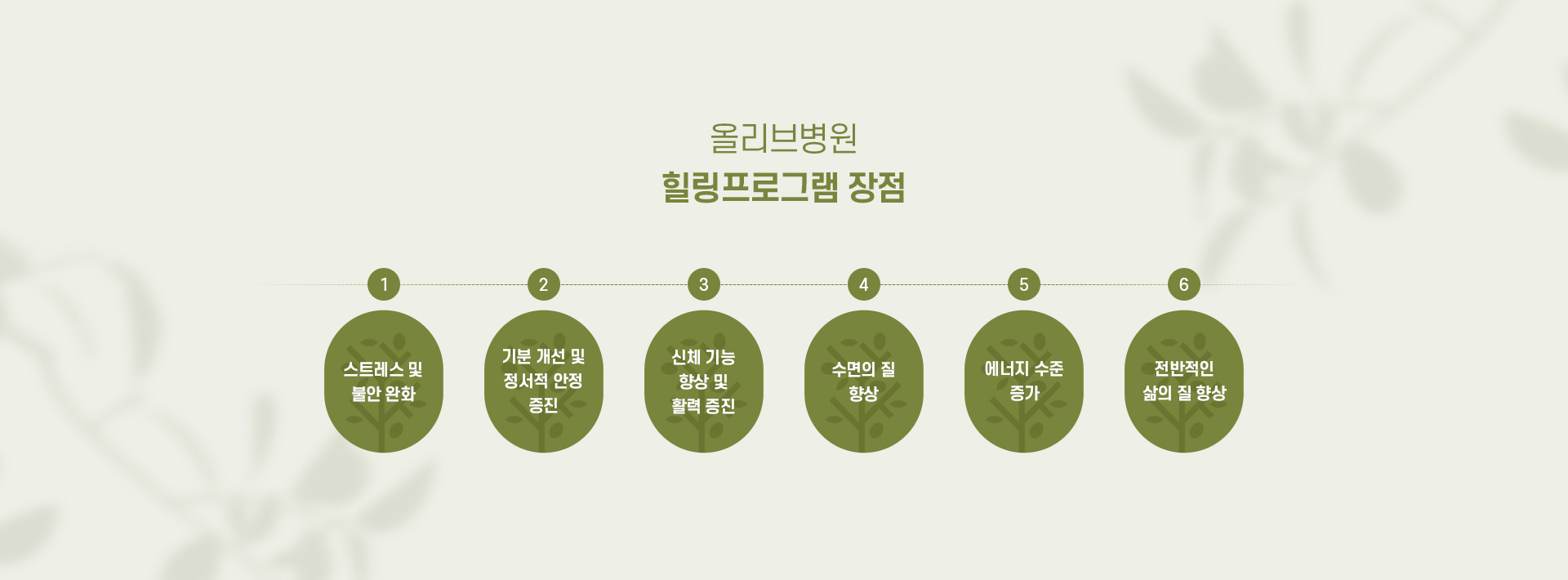 힐링프로그램및안티에이징 03