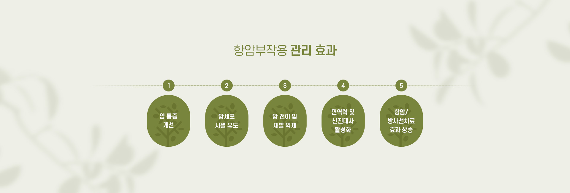 항암부작용관리 06