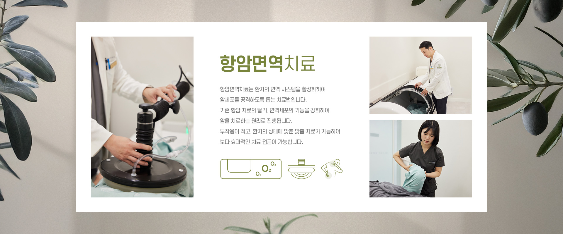 항암면역치료 키비주얼