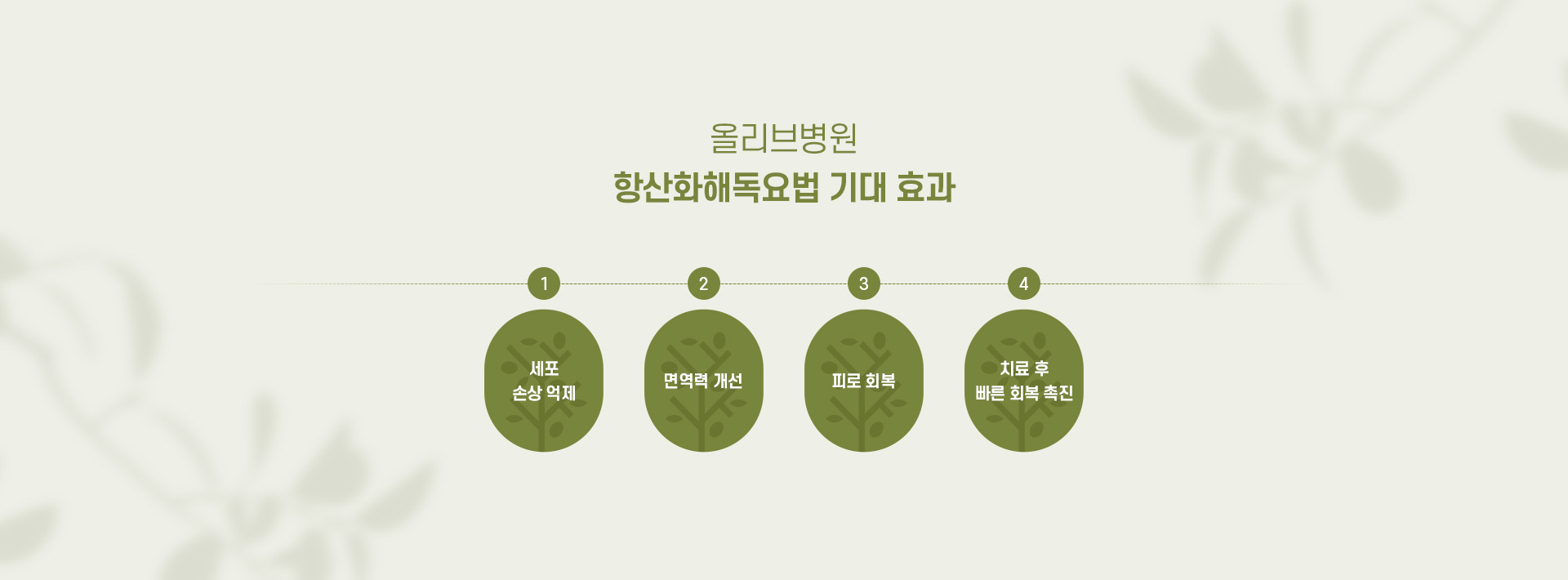 항산화해독요법 07