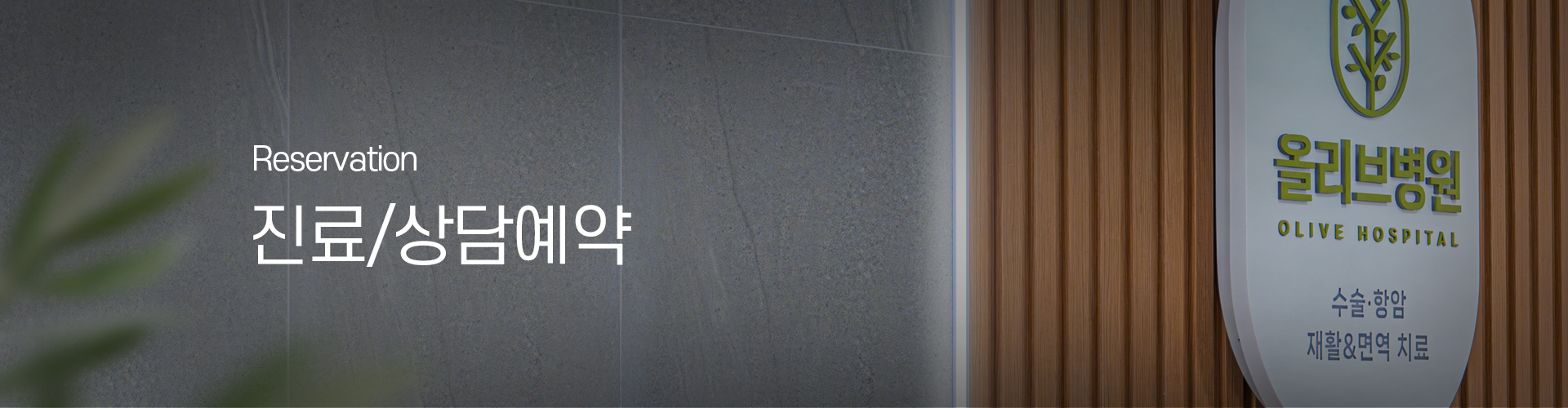 키비주얼이미지